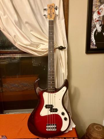 a bass guitar standing vertically, it has a dark fretboard and sparkly red paint, and a bright white pick guard