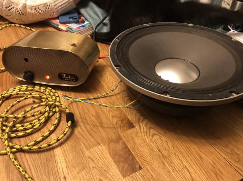 fanfare amp testing with bare speaker