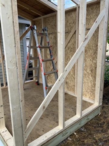 shed wall framing showing angled reinforcement board