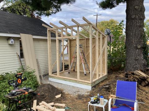shed with roof rafters in place